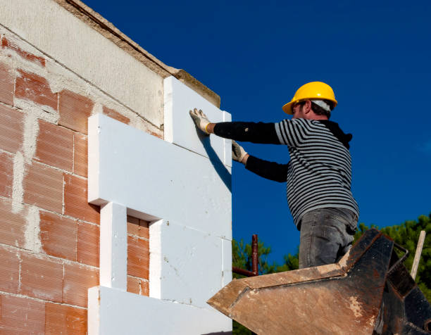 Insulation Replacement Services in Richmond Hill, GA
