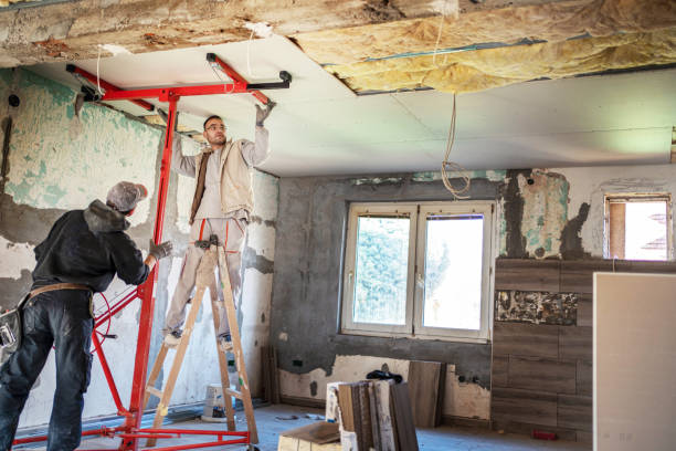 Best Insulation for New Construction  in Richmond Hill, GA